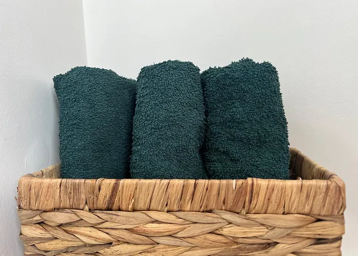 Le Central Wifi Parking 4 Personnes Proche Gare Sarrebourg